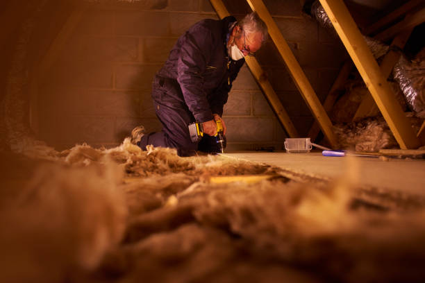 Best Batt and Roll Insulation  in Rice Lake, WI